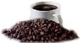 Arabica coffee bean